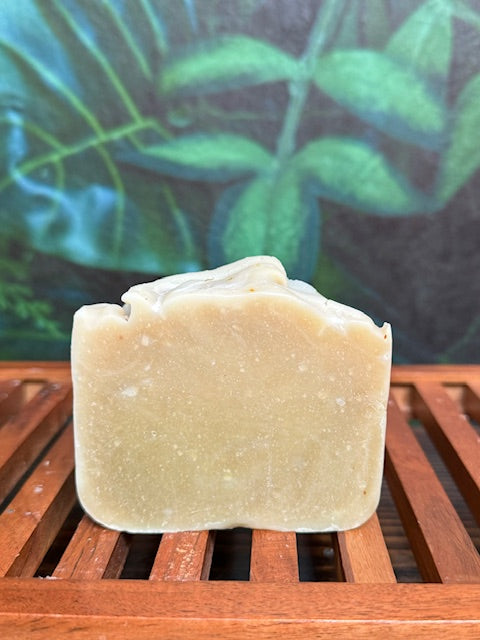 Moringa Sea Moss Soap Bar